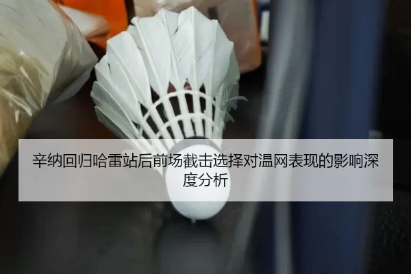 辛纳回归哈雷站后前场截击选择对温网表现的影响深度分析